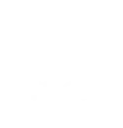 TRON Vertical Logo - White version