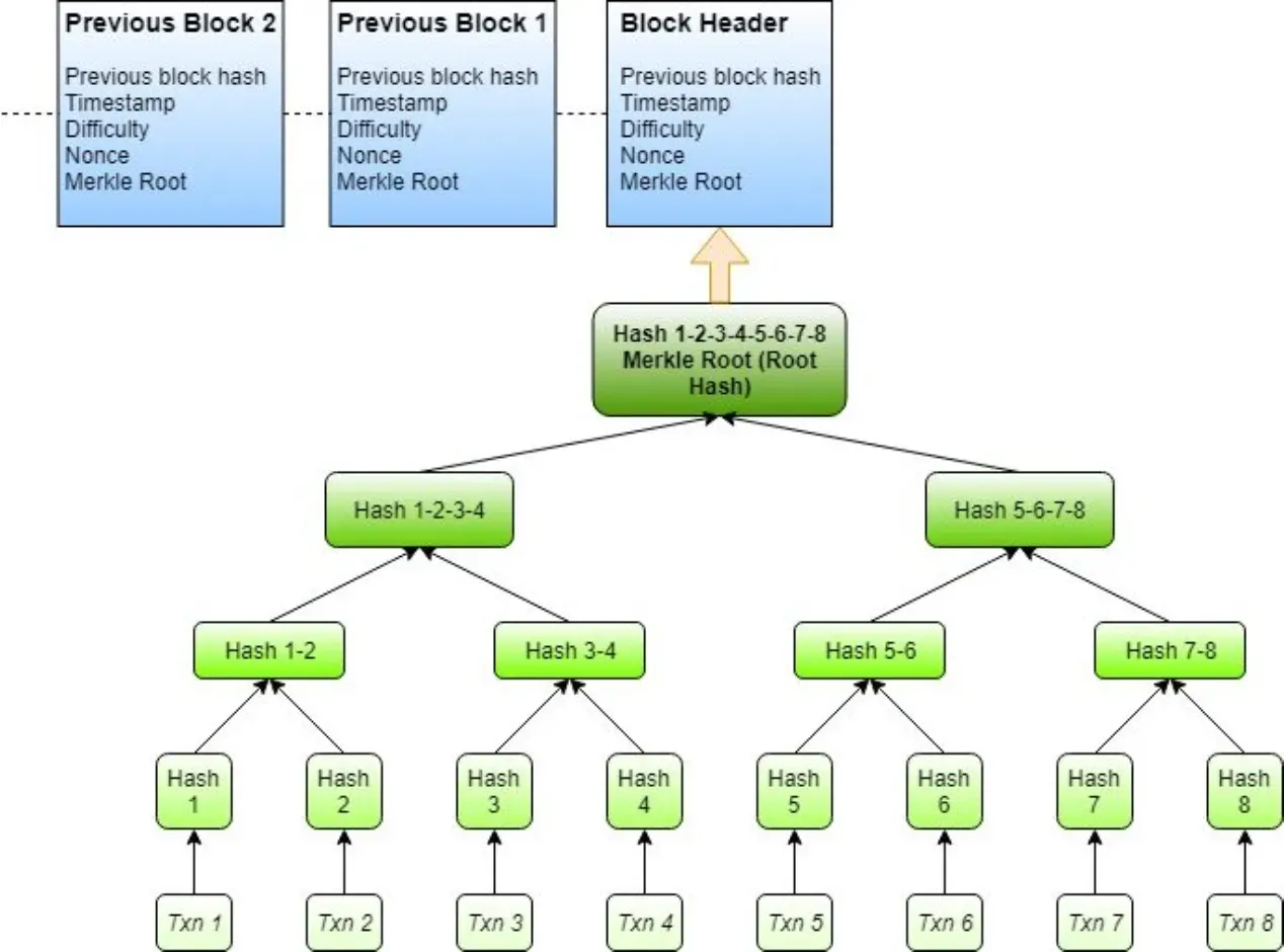 8 TRX transactions are hashed into the merkle root